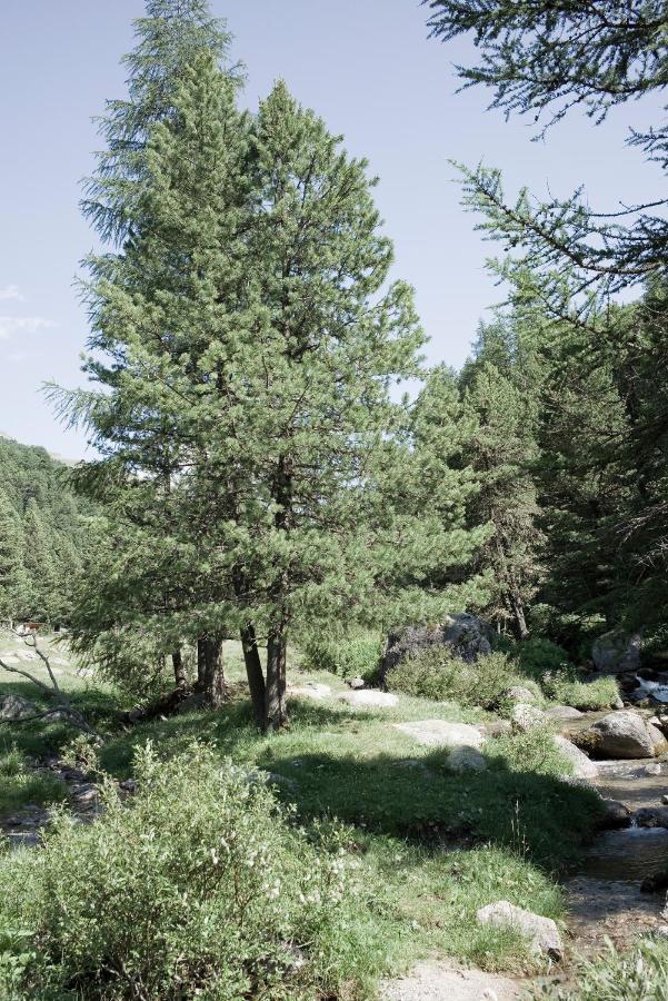 Alpengasthof Crusch Alba Ed Alvetern, S-Charl Scuol Εξωτερικό φωτογραφία